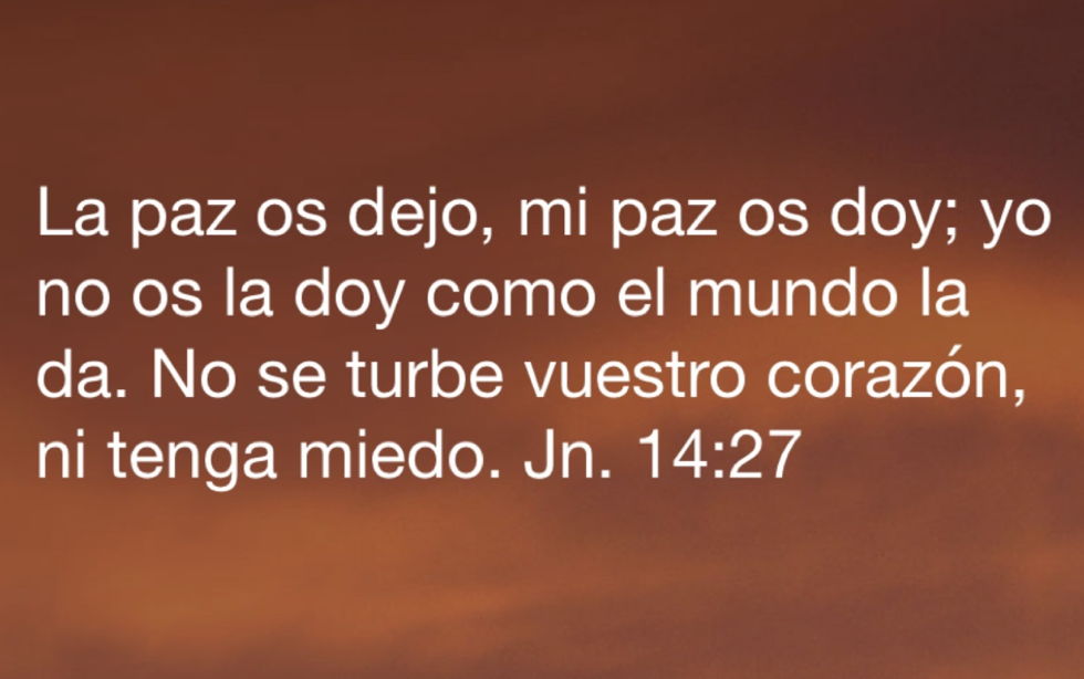 Oramos unidos, aunque no estemos juntos. Martes de la quinta semana de Pascua