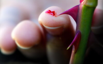 Oramos unidos, aunque no estemos juntos. 14 junio. Martes de la undécima semana del Tiempo Ordinario