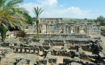Oramos unidos, aunque no estemos juntos. 12 de julio. Martes de la decimoquinta semana del Tiempo Ordinario