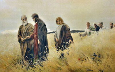 Oramos unidos, aunque no estemos juntos. 15 de julio. Viernes de la decimoquinta semana del Tiempo Ordinario. San Buenaventura