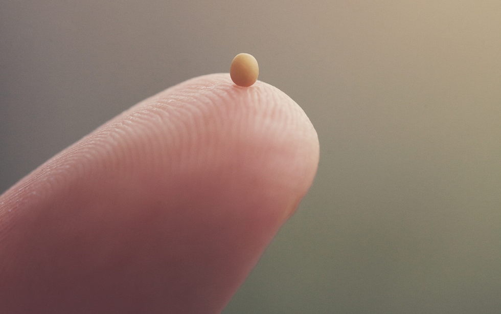 Oramos unidos, aunque no estemos juntos. Sábado de la decimoctava semana del Tiempo Ordinario