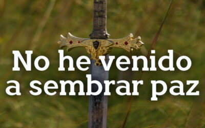 Oramos unidos, aunque no estemos juntos. 11 de julio. Lunes de la decimoquinta semana del Tiempo Ordinario