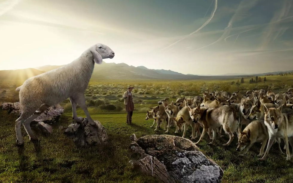 Oramos unidos, aunque no estemos juntos. 8 julio. Viernes de la decimocuarta semana del Tiempo Ordinario