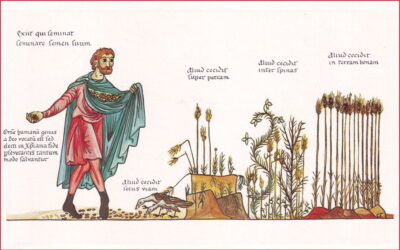 Oramos unidos, aunque no estemos juntos. 20 de julio. Miércoles de la decimosexta semana del Tiempo Ordinario