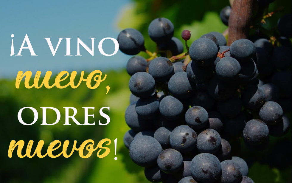 Oramos unidos, aunque no estemos juntos. 2 septiembre. Viernes de la vigesimosegunda semana del Tiempo Ordinario