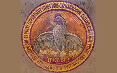 Oramos unidos, aunque no estemos juntos. 29 octubre. Jueves de la 30ª semana del Tiempo Ordinario
