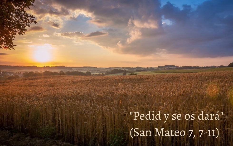 Oramos unidos, aunque no estemos juntos. 5 octubre. Miércoles de la vigesimoséptima semana del Tiempo Ordinario. Témporas de acción de gracias y petición