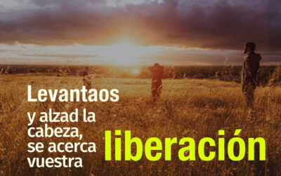 Oramos unidos, aunque no estemos juntos. 26 noviembre. Jueves de la 34ª semana del Tiempo Ordinario