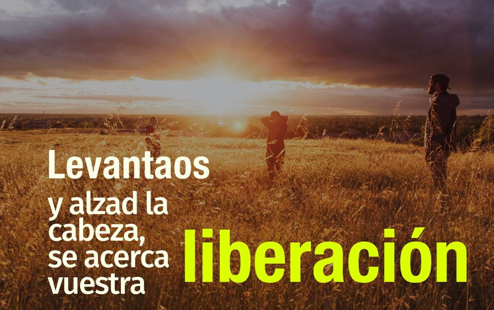 Oramos unidos, aunque no estemos juntos. 26 noviembre. Jueves de la 34ª semana del Tiempo Ordinario