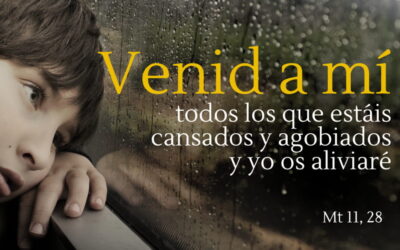 Oramos unidos, aunque no estemos juntos. 14 de julio. Jueves de la decimoquinta semana del Tiempo Ordinario
