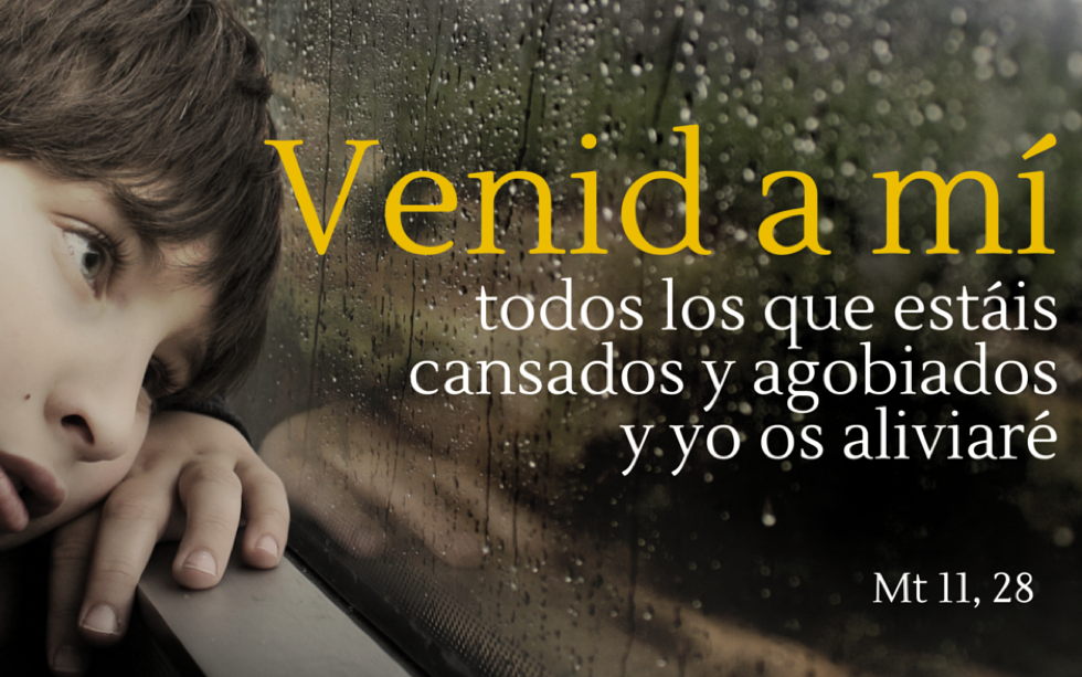 Oramos unidos, aunque no estemos juntos. 14 de julio. Jueves de la decimoquinta semana del Tiempo Ordinario