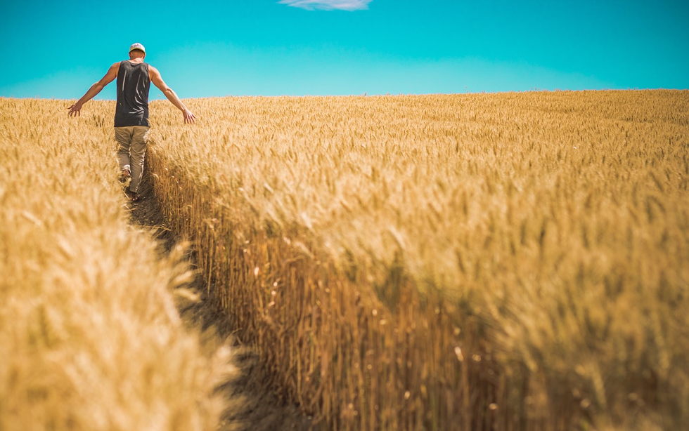 Oramos unidos, aunque no estemos juntos. 4 diciembre. Sábado de la 1ª semana de Adviento