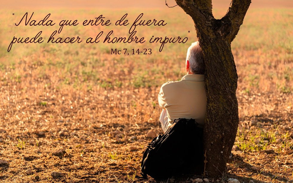 Oramos unidos, aunque no estemos juntos. 10 febrero. Santa Escolástica, virgen (memoria)
