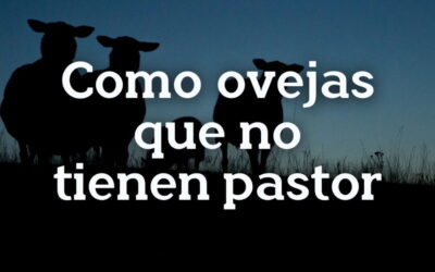 Oramos unidos, aunque no estemos juntos. 6 febrero. Sábado de la 4ª semana del Tiempo Ordinario