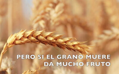 Oramos unidos, aunque no estemos juntos. 21 marzo. Domingo 5º de Cuaresma