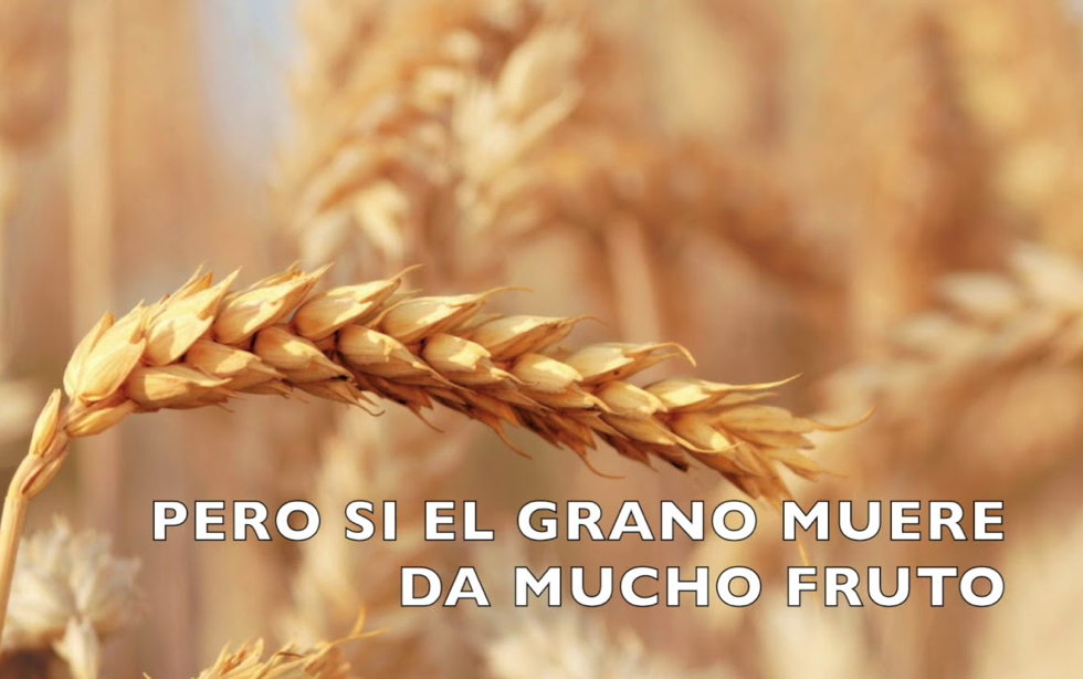 Oramos unidos, aunque no estemos juntos. 21 marzo. Domingo 5º de Cuaresma