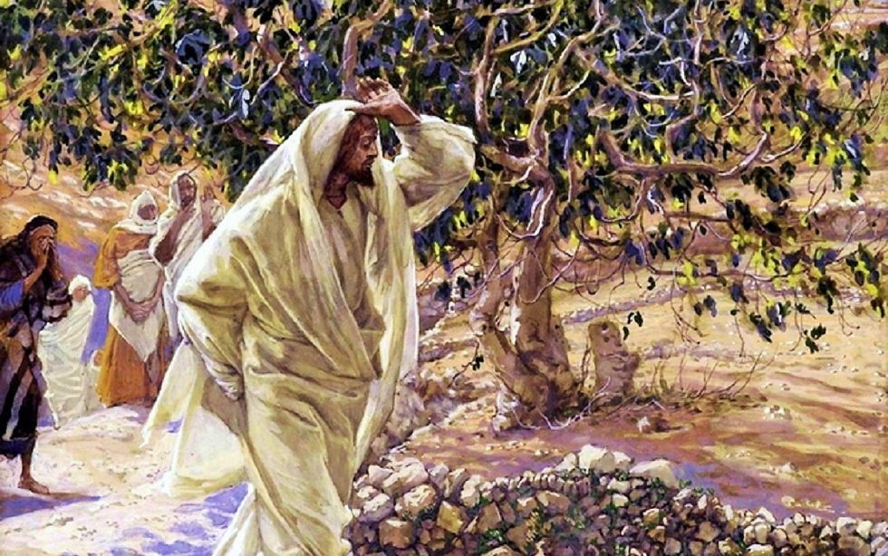 Oramos unidos, aunque no estemos juntos. 28 de mayo. Viernes de la octava semana del Tiempo Ordinario