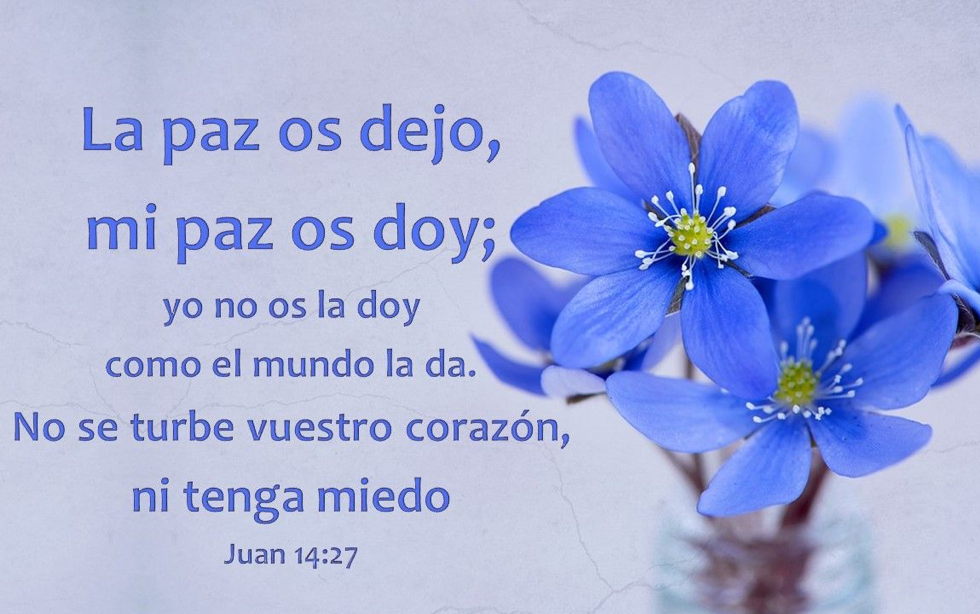 Oramos unidos, aunque no estemos juntos. Martes de la quinta semana de Pascua