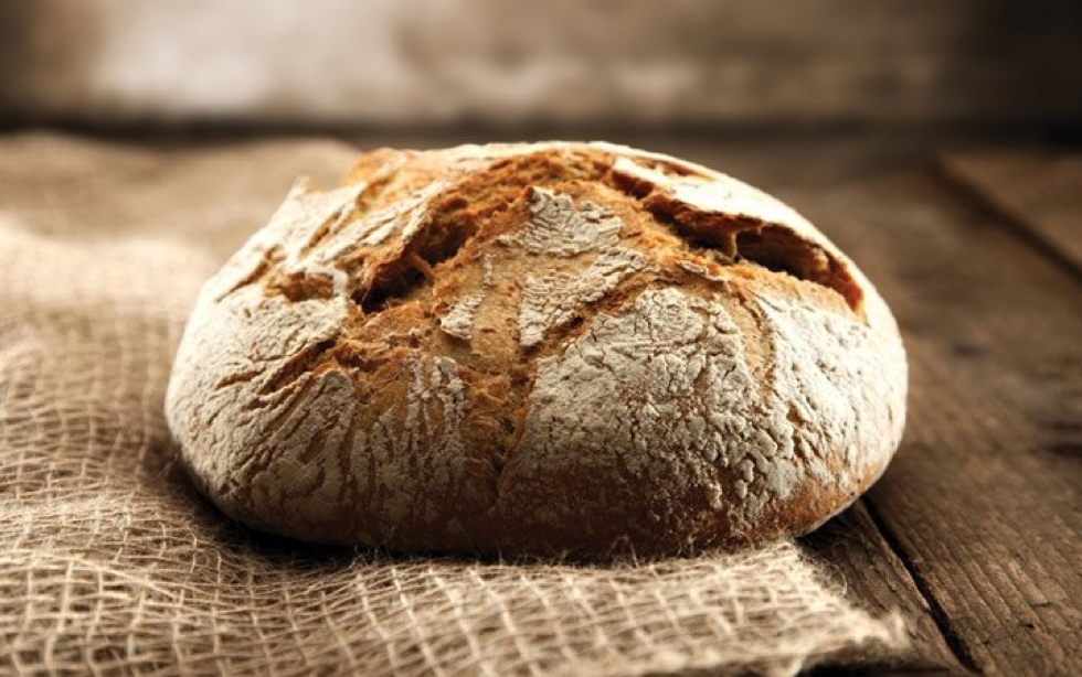 Oramos unidos, aunque no estemos juntos. 1 de agosto. Domingo decimoctavo del Tiempo Ordinario. Cáritas