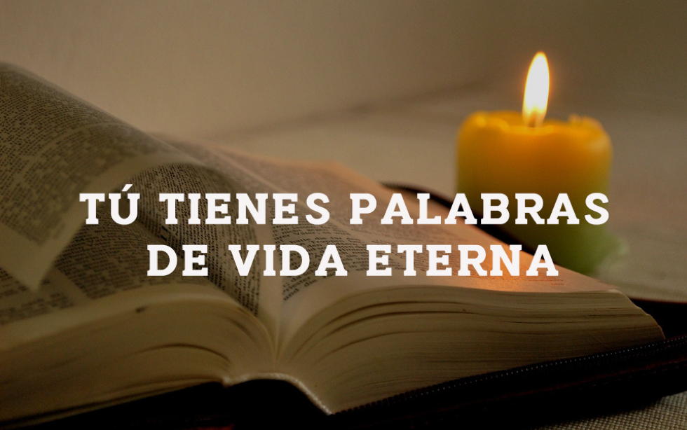 Oramos unidos, aunque no estemos juntos. 22 de agosto. Domingo vigesimoprimero del Tiempo Ordinario