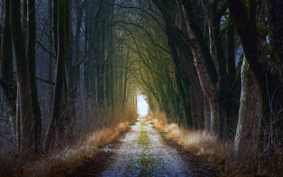 Segunda sesión sinodal en la parroquia: Retiro de Adviento el sábado 27