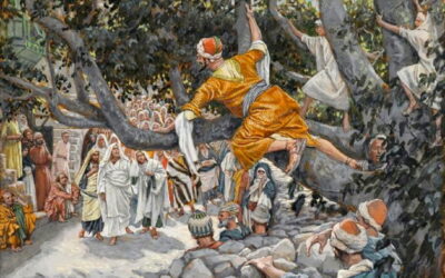 Oramos unidos, aunque no estemos juntos. 16 de noviembre. Martes de la trigésima tercera semana del Tiempo Ordinario