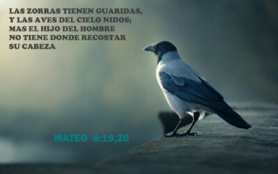 Oramos unidos, aunque no estemos juntos. 27 de junio. Lunes de la decimotercera semana del Tiempo Ordinario